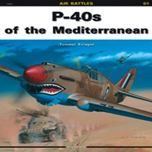 P-40s Of The Mediterranean