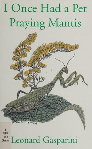 I Once Had a Pet Praying Mantis