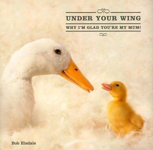 Under Your Wing Why I'm Glad You're My Mum!