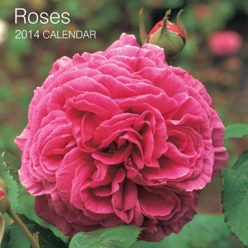 Roses 2014 Calendar