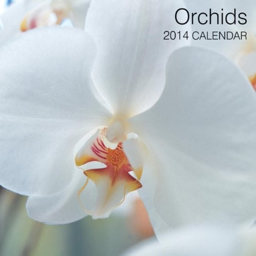 Orchids 2014 Calendar