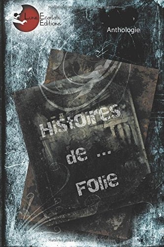 Histoires de... Folie (French Edition)