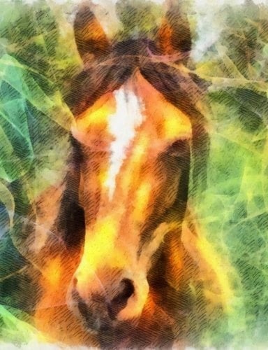 Composition Notebook - Wide Ruled