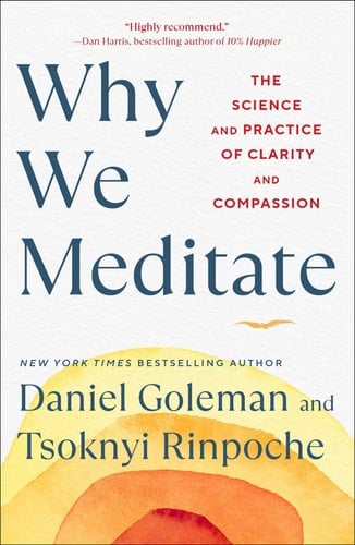 Why We Meditate The Science and Practice of Clarity and Compassion