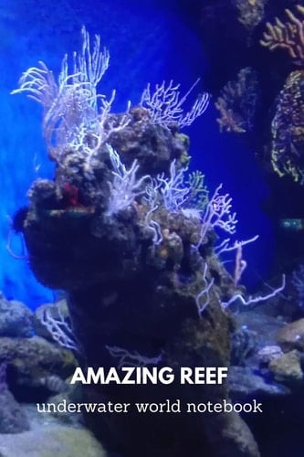 Amazing Reef Underwater World Password Notebook
