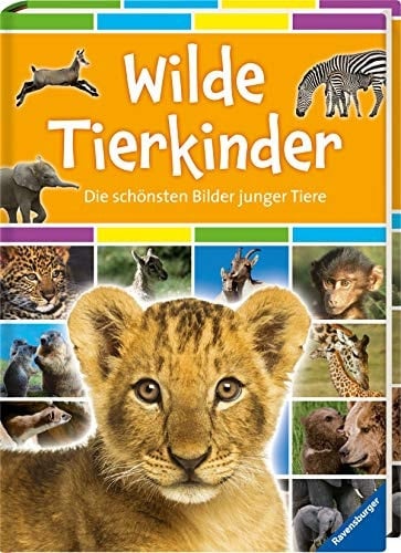 Wilde Tierkinder die schönsten Bilder junger Tiere