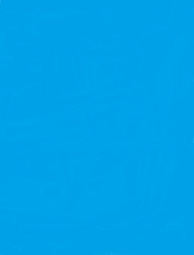 Marketing Management: Text and Cases (Wiley/Hamilton Series in Marketing)