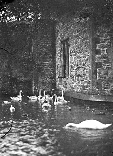 William Catcott The Complete Works