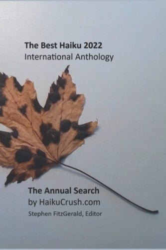 The Best Haiku 2022 International Anthology