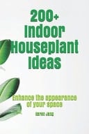 200+ Indoor Houseplant Ideas Enhance the Appearance of Your Space