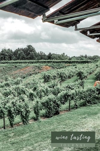 Wine tasting journal