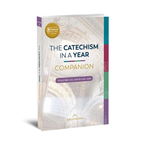 Catechism in a Year Companion Volume III