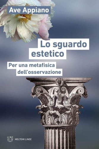 Lo sguardo estetico per una metafisica dell'osservazione