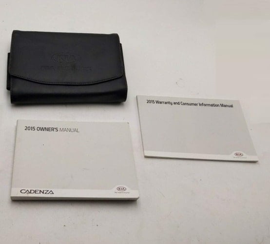 2015 Kia Cadenza Owners Manual