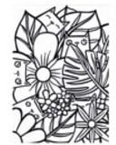 Lisa's Cats Colouring Book