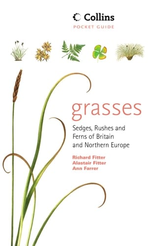 Grasses, Sedges, Rushes and Ferns of Britain and Northern Europe (Collins Pocket Guide)