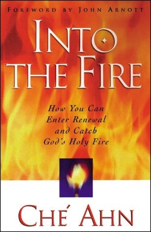 Into the Fire How You Can Enter Renewal and Catch God's Holy Fire