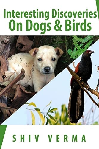 Interesting Discoveries on Dogs and Birds