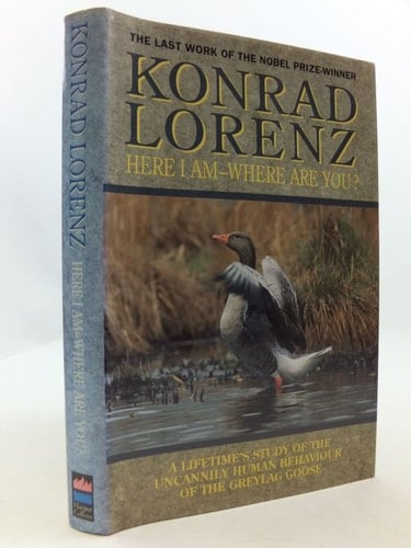 Here I Am - Where Are You?: A Lifetime's Study of the Uncannily Human Behaviour of Greylag Geese