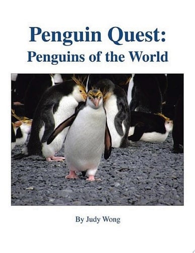 Penguin Quest: