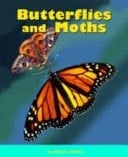 Butterflies and Moths Set Of 6