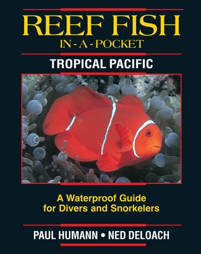Reef Fish in a Pocket Tropical Pacific A Personal Map for Your Masculine Journey