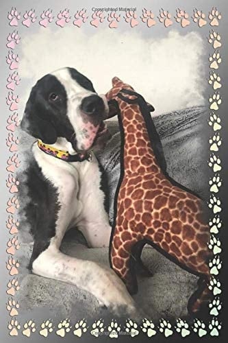 My Leggy Buddy Journal