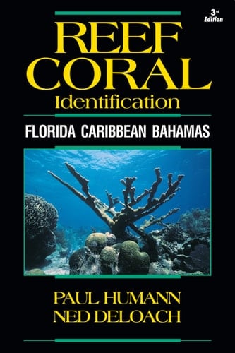 Reef Coral Identification Florida, Caribbean, Bahamas : Including Marine Plants