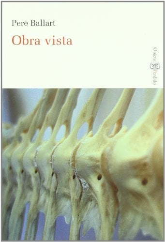 Obra vista