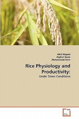Rice Physiology and Productivity:: Under Stress Conditions