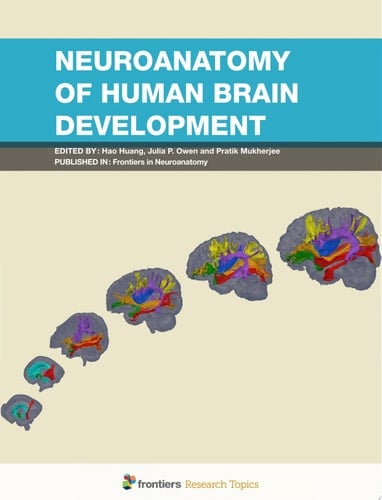 Neuroanatomy of Human Brain Development