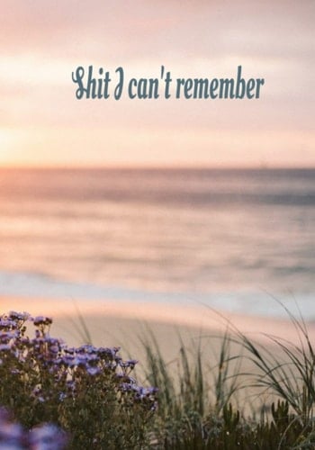 Shit I Can't Remember Organizer