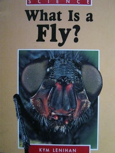 What is a Fly?