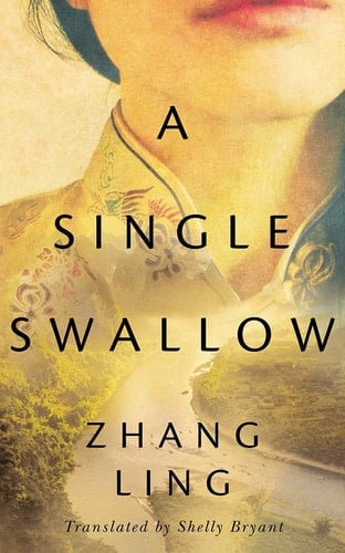 A Single Swallow