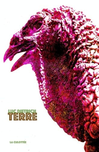 Terre (French Edition)