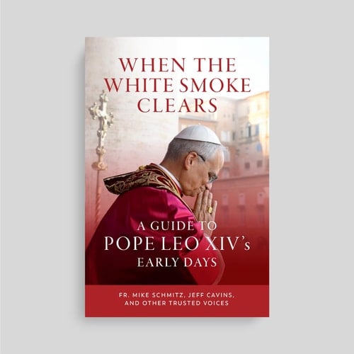 When the White Smoke Clears A Guide to the Early Days of Pope Leo XIV