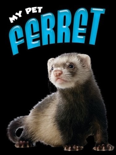 My Pet Ferret