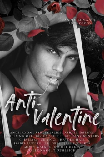 Anti-Valentine: An MM Romance Anthology