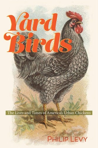 Yard Birds The Lives and Times of America's Urban Chickens