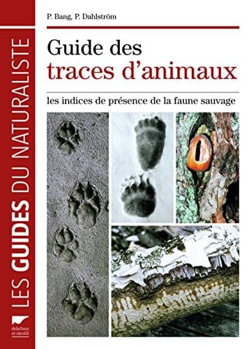 Guide des traces d'animaux les indices de présence de la faune sauvage