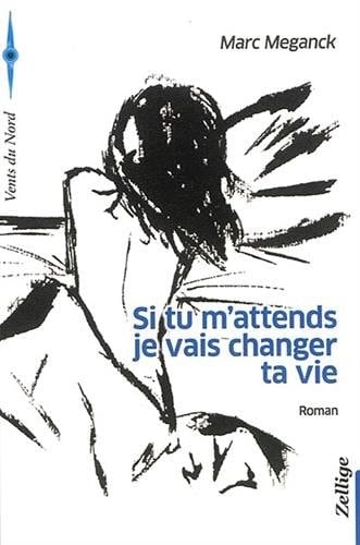 Si tu m'attends je vais changer ta vie