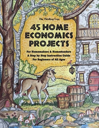 45 Home Economics Projects
