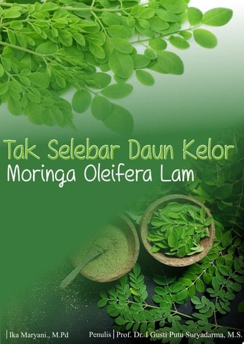 TAK SELEBAR DAUN KELOR Moringa Oleifera Lam