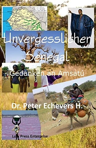 Unvergesslicher Senegal Gedanken an Amsatu