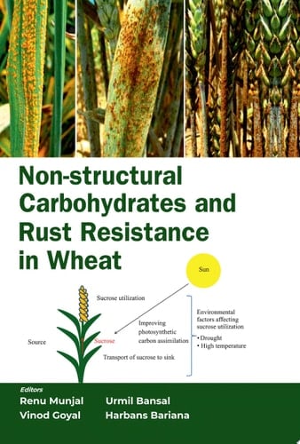 Non-Structural Carbohydrates and Rust Resistance in Wheat