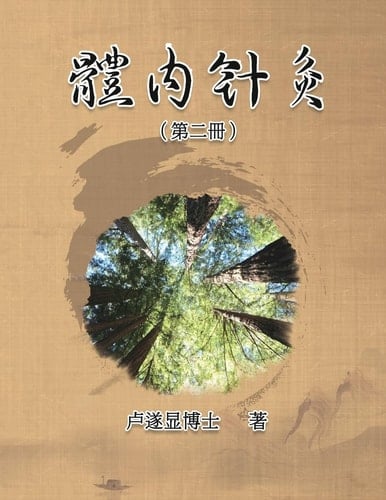  Internal Acupuncture (Volume 2)