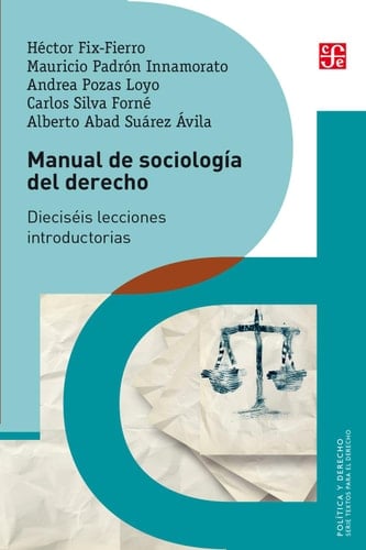 Manual de sociología del derecho. Dieciséis lecciones introductorias (Spanish Edition)