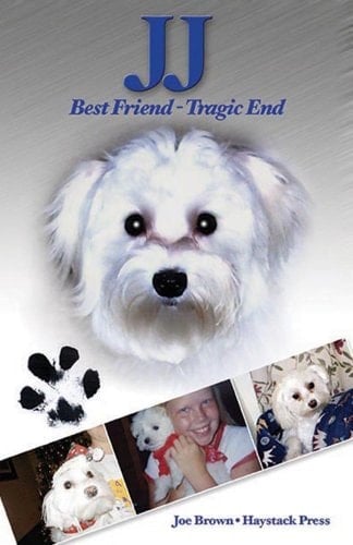 JJ Best Friend--tragic End