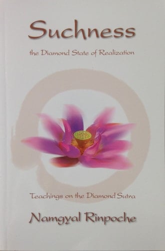 Suchness The Diamond State of Realization: Teachings on the Diamond Sutra