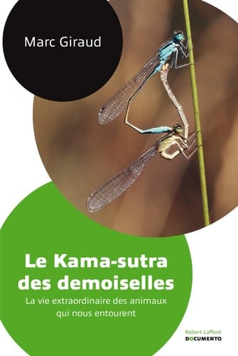 Le Kama-sutra des demoiselles La vie extraordinaire des animaux qui nous entourent